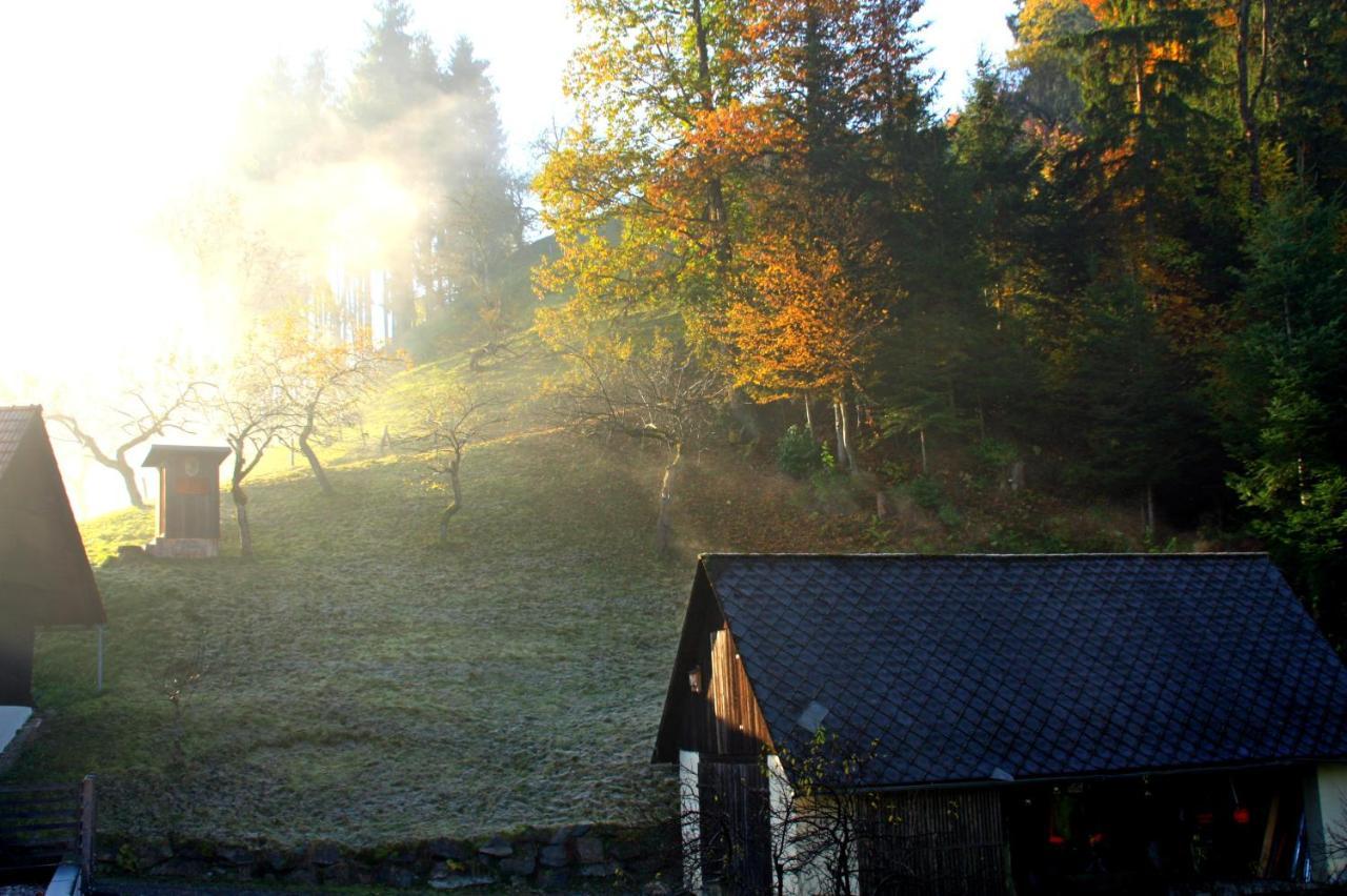 Ferienwohnung Karasek Deluxe Sattendorf Bagian luar foto